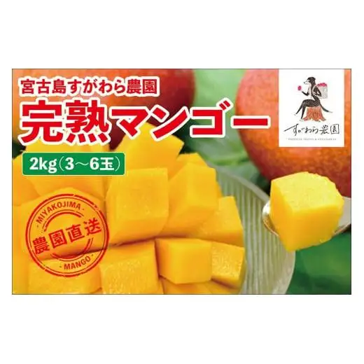 宮古島すがわら農園　完熟マンゴー2kg（3～6玉）（FR007）