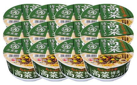 九州三宝堂 高菜博多ラーメン 12食入(1ケース) K001030
