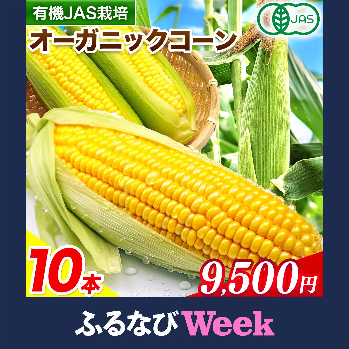 【ふるなびWEEK対象返礼品】　北海道産 オーガニック とうもろこし 10本 伊場ファーム 