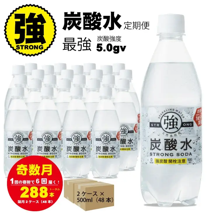 【定期便】（年/隔月）強炭酸水（500ml）2ケース（48本入り）×6回 炭酸 飲料 Q072-003