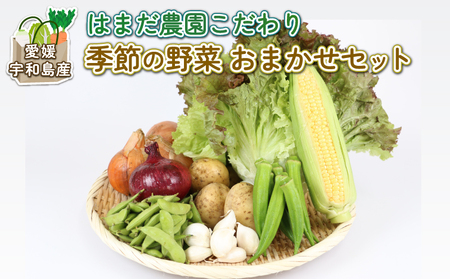 季節のおまかせ 野菜 セット はまだ農園 やさい 野菜セット 美味しい 新鮮 小分け 季節 お任せ 食べ比べ 旬野菜 旬 詰め合わせ 季節限定 季節野菜 フレッシュ yasai 農家直送 産地直送 数量限定 国産 愛媛 宇和島 F010-139001