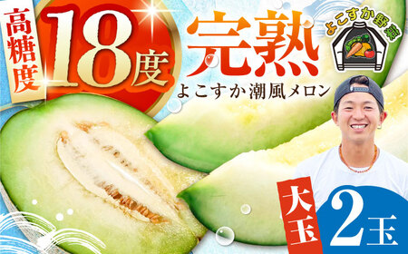 【先行予約】【数量限定50セット】よこすか潮風メロン 大玉4L 2玉セット 計約3kg 【井上農園】 [AKDJ001]