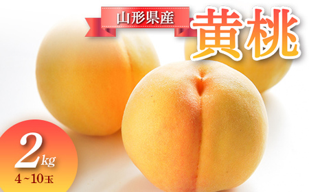 【先行予約 令和8年度発送】山形県産 黄桃 2kg もも モモ 桃 デザート フルーツ 果物 くだもの 果実 食品 山形県 FSY-0685