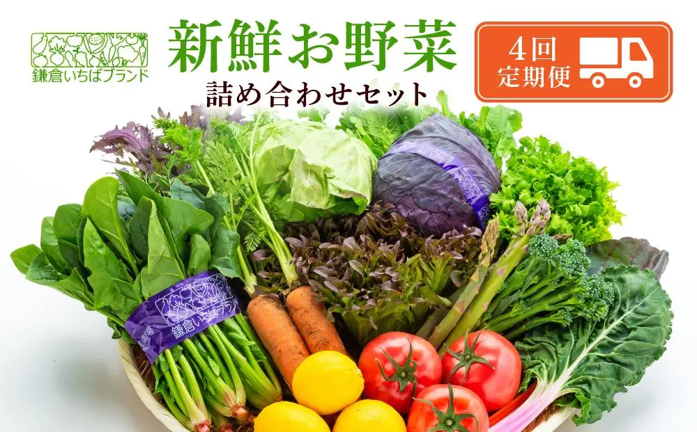 【3ヶ月毎計4回 定期便】四季を味わえる「鎌倉いちばブランド」新鮮お野菜詰め合わせセット ｜ 人気 野菜 詰合せ 詰め合わせ セット 新鮮野菜 詰め合わせセット 野菜セット 季節の野菜 鎌倉野菜 地元産 お取り寄せ おすすめ 送料無料 神奈川 鎌倉 新鮮