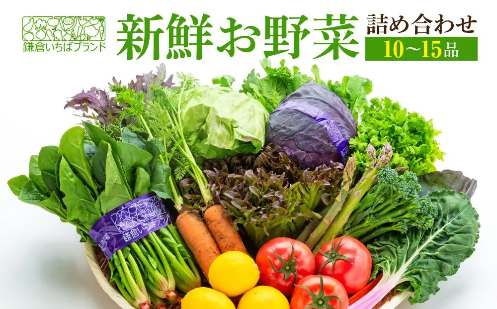 「鎌倉いちばブランド」新鮮お野菜詰め合わせセット 10～15品 | 野菜 人気 詰合せ