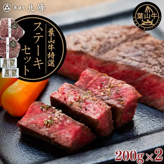 葉山牛特選ステーキセット　【配送不可地域：沖縄県・離島】
