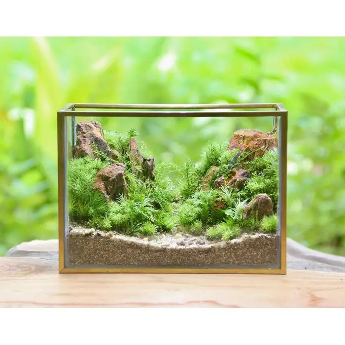 《苔テラリウム・コケリウム》山岳の風景 メタルフレーム L | インテリア 苔テラリウム 自然 アート 人気 おすすめ 観葉植物 癒し ギフト プレゼント インテリア雑貨 送料無料 神奈川 鎌倉