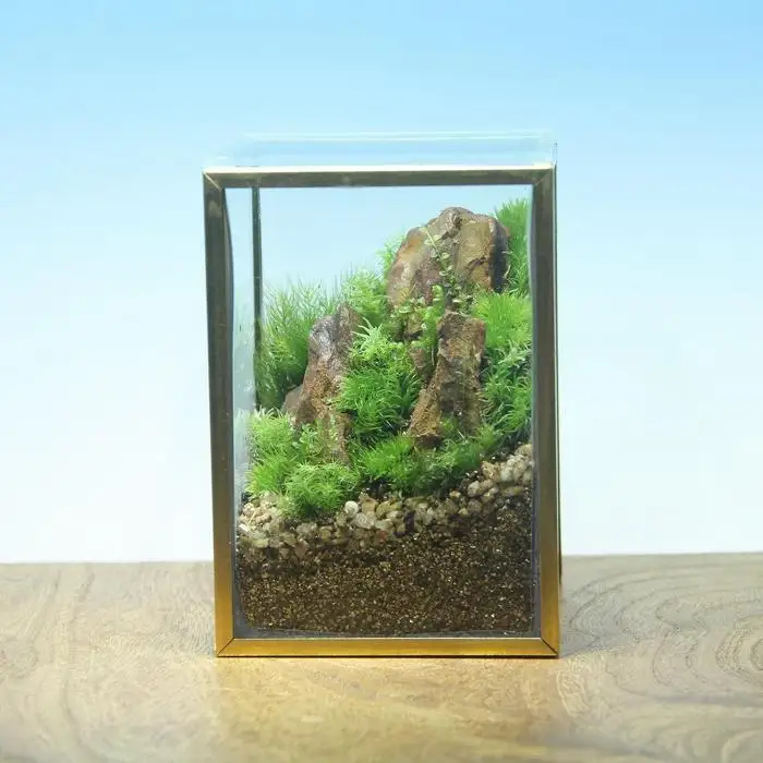 《苔テラリウム・コケリウム》山岳の風景 メタルフレーム S