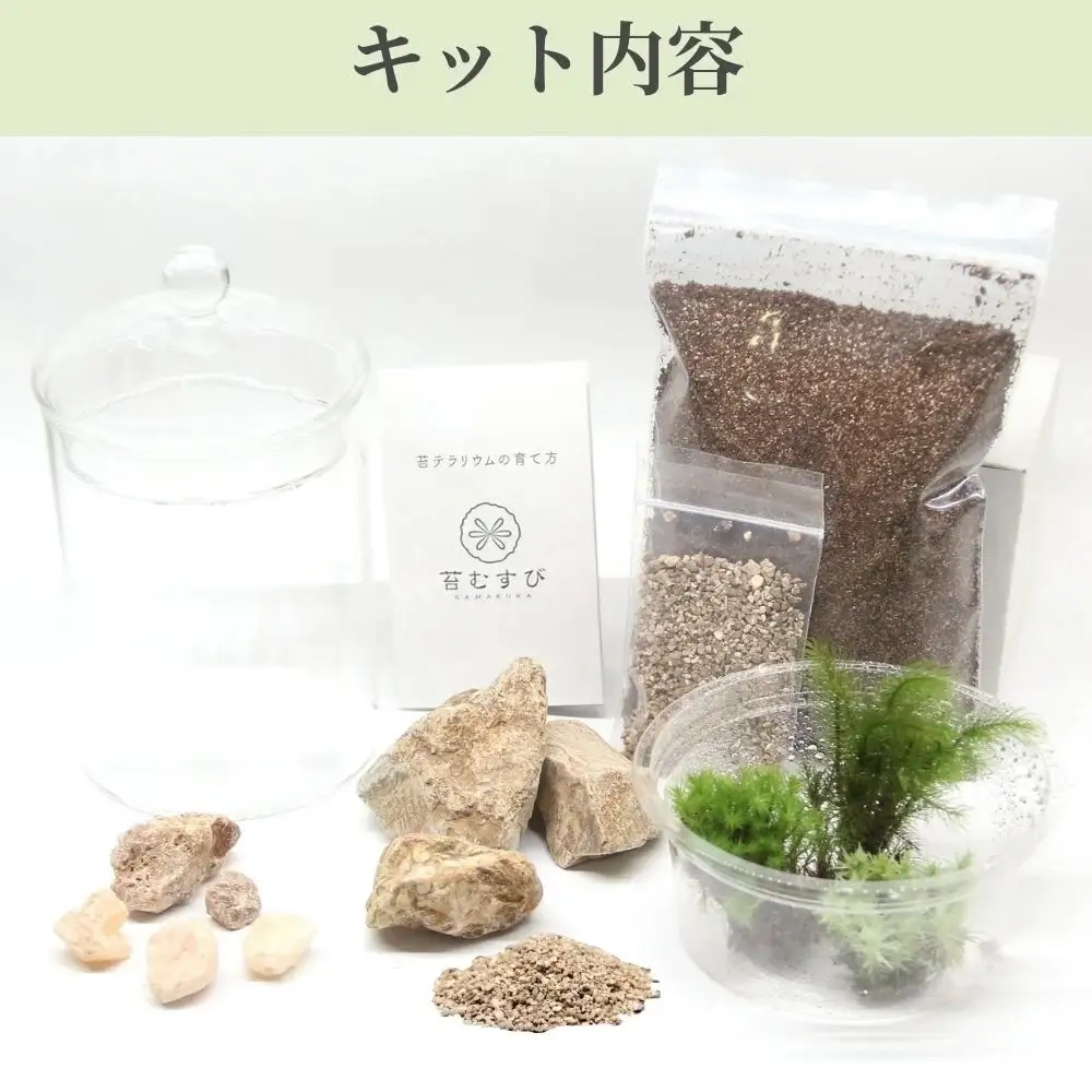苔テラリウムスターターキット　キャニスタータイプ（ツール付き）
