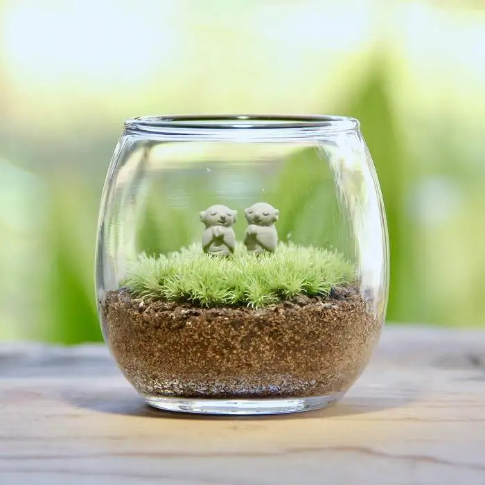 《苔テラリウム・コケリウム》HMふたご地蔵_おちょこけ