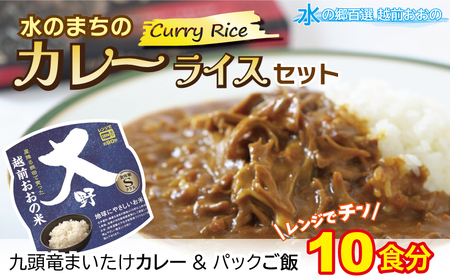 レンジでチン！水のまちのカレーライスセット【１０食分】