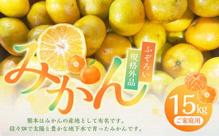【規格外品】 熊本市産 みかん ご家庭用 15kg 不揃い 蜜柑 ミカン フルーツ 果物 くだもの 柑橘 熊本産 九州産【2026年10月下旬～2027年2月下旬迄発送予定】