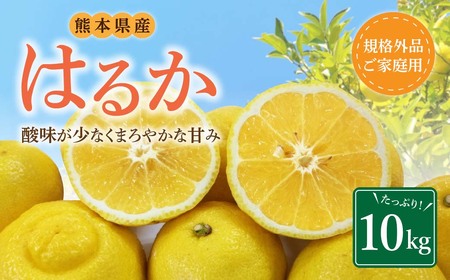 【規格外品】はるか ご家庭用 10kg サイズ不選別 サラダみかん 柑橘 ミカン 果物  【2027年2月上旬～3月下旬迄発送予定】