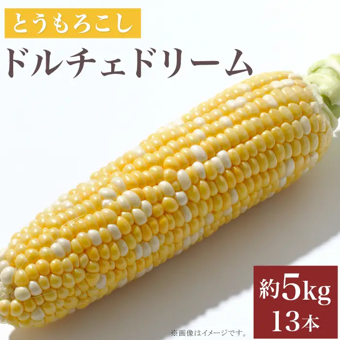 324 とうもろこし ドルチェドリーム 約5kg 11～13本 朝採れ バイカラー 黄 白 茨城 先行予約 2026年7月頃～発送予定