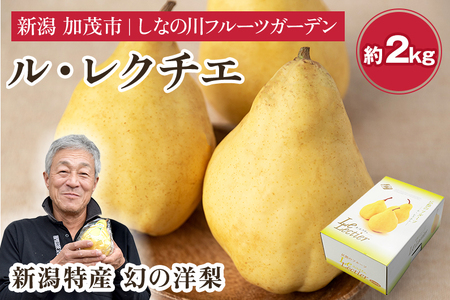 【2026年先行予約】新潟特産 幻の洋梨ル・レクチェ【青秀品】約2kg《11月下旬〜お届け》