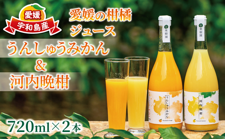 ストレートジュース 愛媛 の 柑橘ジュース 720ml × 2本 セット 壱果樹園 河内晩柑 温州みかん みかんジュース みかん 蜜柑 mikan フルーツ ジュース 果汁 100% 飲料 ギフト 贈答用 果物 くだもの 国産 愛媛 宇和島 H015-141002