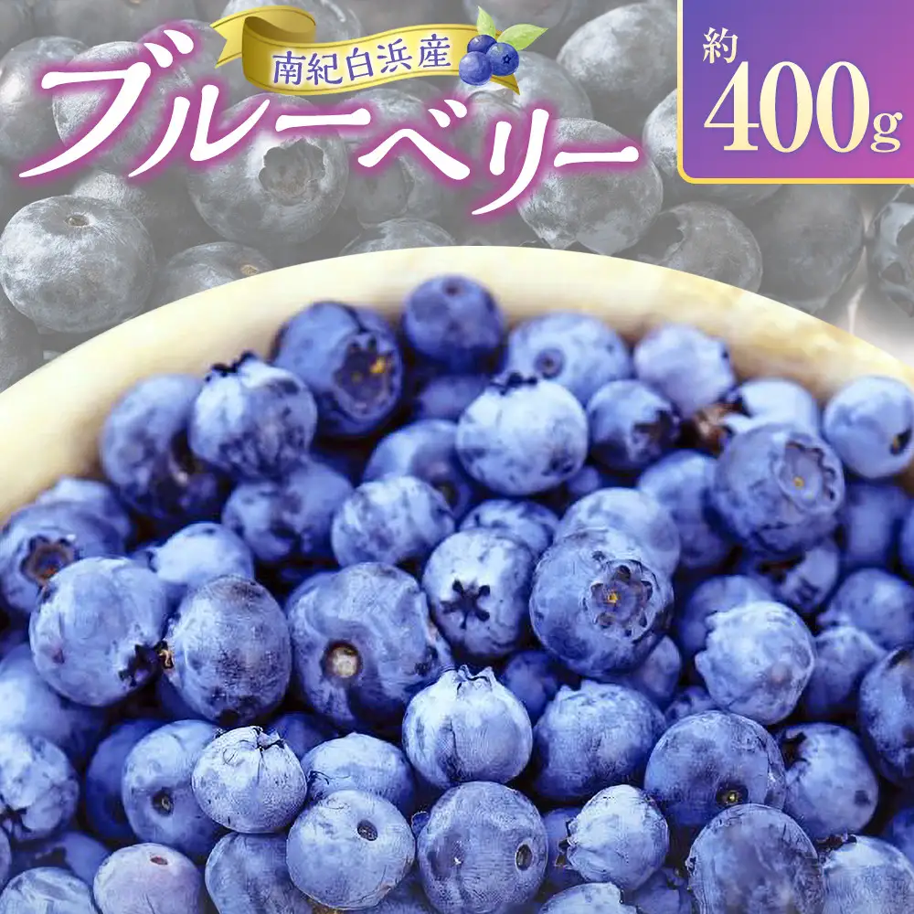 南紀白浜産ブルーベリー 約400g