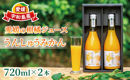 ストレートジュース 愛媛 の 柑橘ジュース 720ml × 2本 セット 温州みかん 壱果樹園 みかんジュース みかん 蜜柑 mikan ジュース フルーツジュース 果汁 100% 飲料 柑橘 ギフト 贈答用 果物 くだもの フルーツ 国産 愛媛 宇和島 H015-141001