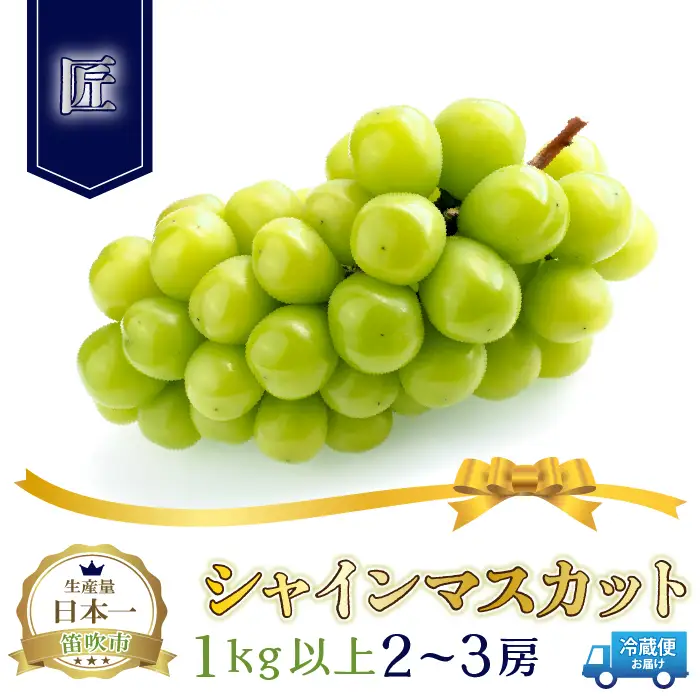 ＜26年発送先行予約＞笛吹市産シャインマスカット（匠）2～3房 1kg以上 210-002