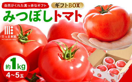 【先行予約】みつぼしトマト☆自然がくれた真っ赤なギフト 約1kg 【2026年5月上旬以降順次発送予定】【とまと トマト 野菜 生野菜 新鮮 産地直送 贈答 ギフト 国産】 [A-2608]