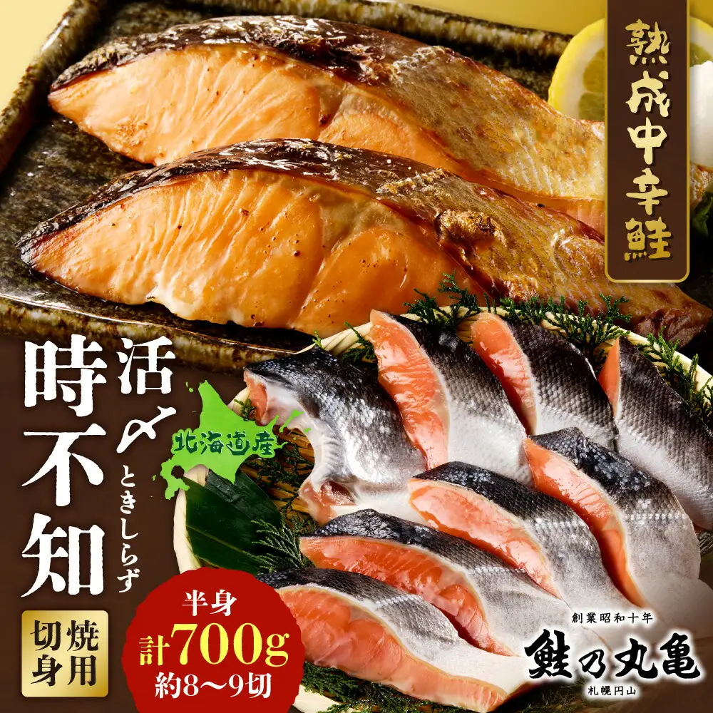 鮮度の良い時不知鮭だけを厳選！鮭乃丸亀　熟成中辛鮭（活〆時不知）切身