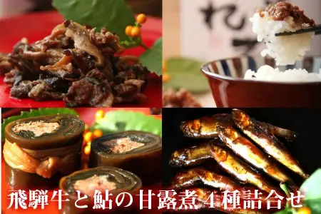 厳選素材の飛騨牛と鮎の佃煮・ぼっか煮4種セット[B0203x]