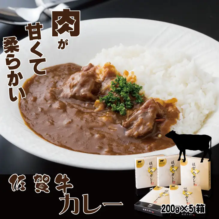 佐賀牛カレー（５箱セット） カレー 牛肉 レトルト B110-046