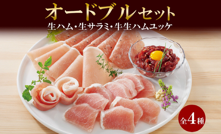 しばれ生ハム 4種 オードブル セット 生ハム サラミ ユッケ 豚肉 ブロック スライス 燻製 おつまみ パーティー 冷凍 ギフト バルナバハム バルナバフーズ 送料無料 北海道 札幌市