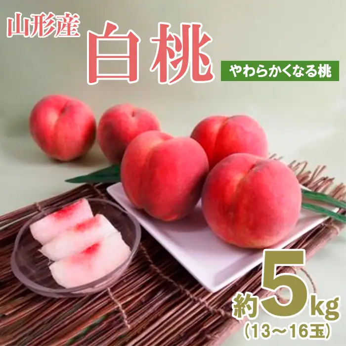 山形産白桃約5kg(13～16玉)[やわらかくなる桃]【令和8年産先行予約】FU19-328 くだもの 果物 フルーツ 山形 山形県 山形市 2026年産