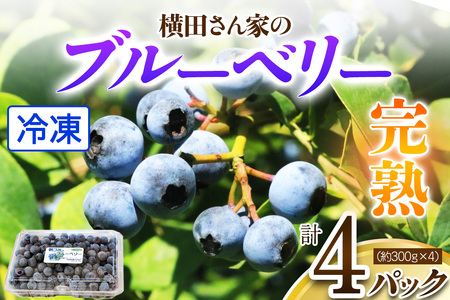横田さん家の冷凍ブルーベリー 4パック (約300g×4) [1639]