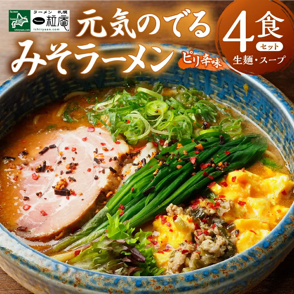 札幌一粒庵【生麺／４食エコ包装】元気のでるみそラーメン 行列店 ラーメン