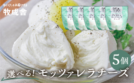 ＜牧成舎＞牛乳屋がていねいに作ったフレッシュモッツァレラチーズ5個 モッツァレラチーズ 飛騨市[Q1420x] 