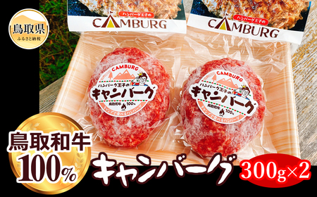 鳥取和牛100％キャンバーグ_T2600061