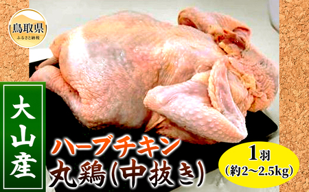 大山産ハーブチキン丸鶏（中抜き）_T2600062