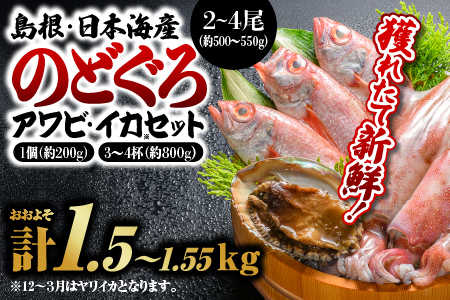 【先行受付】のどぐろ・アワビ・イカ 計約1.5kg～1.55kg 鮮魚セットA  【2026年9月以降順次発送】｜鮮魚 新鮮 魚介類 国産 のどぐろ あわび イカ 剣先イカ 白イカ マイカ 煮つけ 焼き魚 下処理済 BBQ YM-1