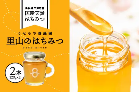  国産 はちみつ 2本 計240g ｜ハチミツ 蜂蜜 RY-4
