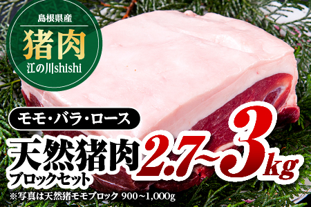 江の川shishi ブロックセット 計2.7kg～3kg 【AI-3】｜送料無料 国産 ジビエ 天然ジビエ お肉 肉 いのしし肉 イノシシ肉 猪肉 天然猪 モモ バラ ロース ブロック肉 ブロック ブロックセット セット スジ無し 煮込み用 角煮 焼肉 焼き肉 BBQ 冷凍 希少｜