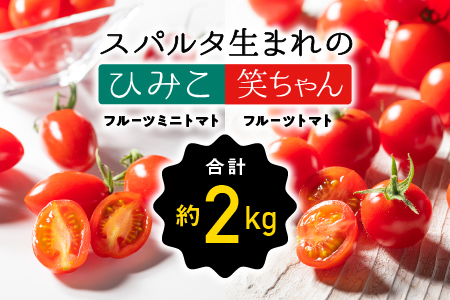 スパルタ生まれの笑ちゃん約1kg＆スパルタ生まれのひみこ約1kg GC-24 産地直送 江津 ミニトマト フルーツトマト