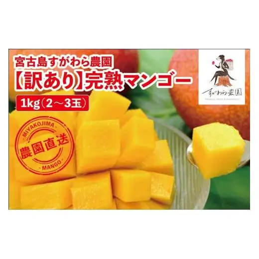 宮古島すがわら農園　【訳あり】完熟マンゴー1kg（2～3玉）（FR003）