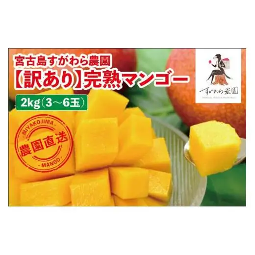宮古島すがわら農園　【訳あり】完熟マンゴー２kg（3～6玉）（FR004）