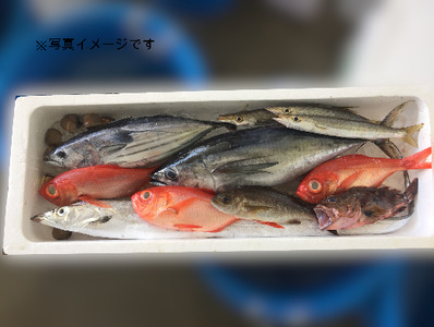 019-3　駿河湾のビックリ箱（プレミアム）