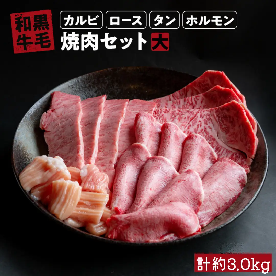 国産 牛 焼肉 セット 大 ( カルビ 1kg ロース 1kg タン200 g ホルモン 800g ) 冷蔵 贅沢 バーベキュー ギフト お取り寄せ グルメ お中元 お歳暮 内祝 贈り物 贈答 お祝い 誕生日 プレゼント 母の日 父の日