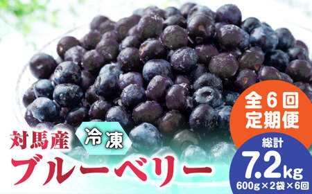 【先行予約】【全6回定期便】 大容量 対馬産 ブルーベリー （ 冷凍 ） 1.2kg [WBG003] 有機 旬 ブルーベリー フルーツ 