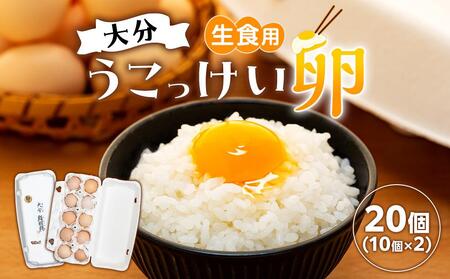 大分うこっけい卵　生食用20個（10個×2） | 卵 烏骨鶏