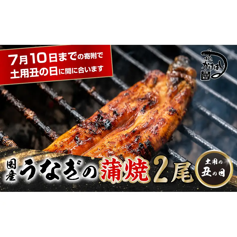昭和52年創業の味 手焼き 国産うなぎ 蒲焼き 2尾 1尾あたり 200～300g 国産 鰻 美味しい 職人仕上げ ふっくら肉厚 タレ付き 冷凍発送 土用丑の日 ギフト 贈答用 お取り寄せ グルメ ご飯のお供 九州 福岡 老舗の味