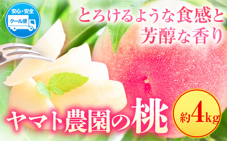 モモ もも 4kg ヤマト農園 【配送不可地域あり】 桃