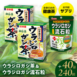 ウラジロシダ　250枚　裏白　門松 soukai_4979654026314
