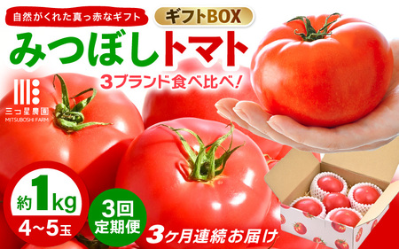 【先行予約】定期便 ≪3ヶ月連続お届け≫ みつぼしトマト☆3ブランド食べ比べ！ 約1kg × 3回 【2026年5月上旬以降順次発送予定】【とまと トマト 野菜 生野菜 新鮮 産地直送 贈答 ギフト 国産】 [A-2609]