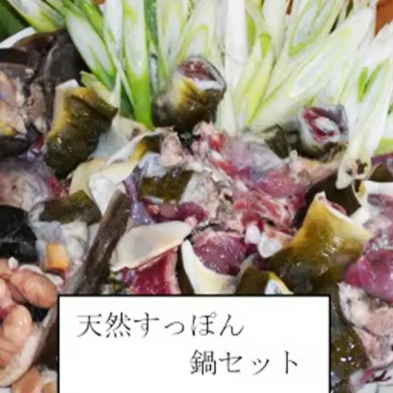 天然すっぽん鍋【2～3人前】【福岡県 筑前町 九州 お取り寄せ グルメ 食品 天然 すっぽん 鍋 すっぽん鍋 コラーゲン 送料無料 AE006】