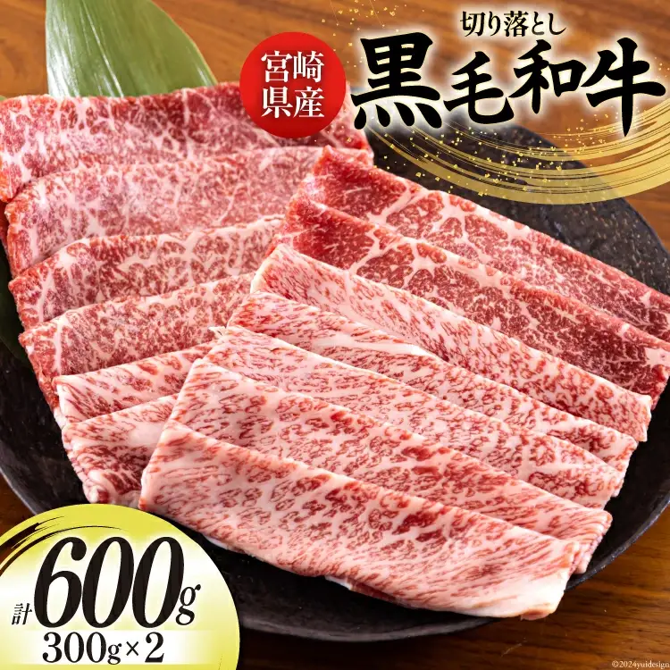 宮崎県産 黒毛和牛 切り落とし 300g×2 計600g [日本ハムマーケティング 宮崎県 美郷町 31bd0013]